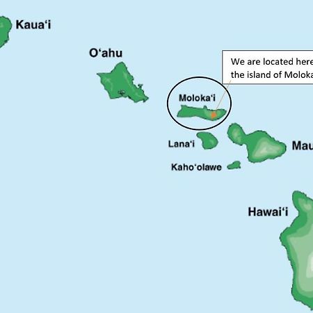 Molokai Island Retreat With Beautiful Ocean Views And Pool - Newly Remodeled! Apartment Ualapue Bagian luar foto
