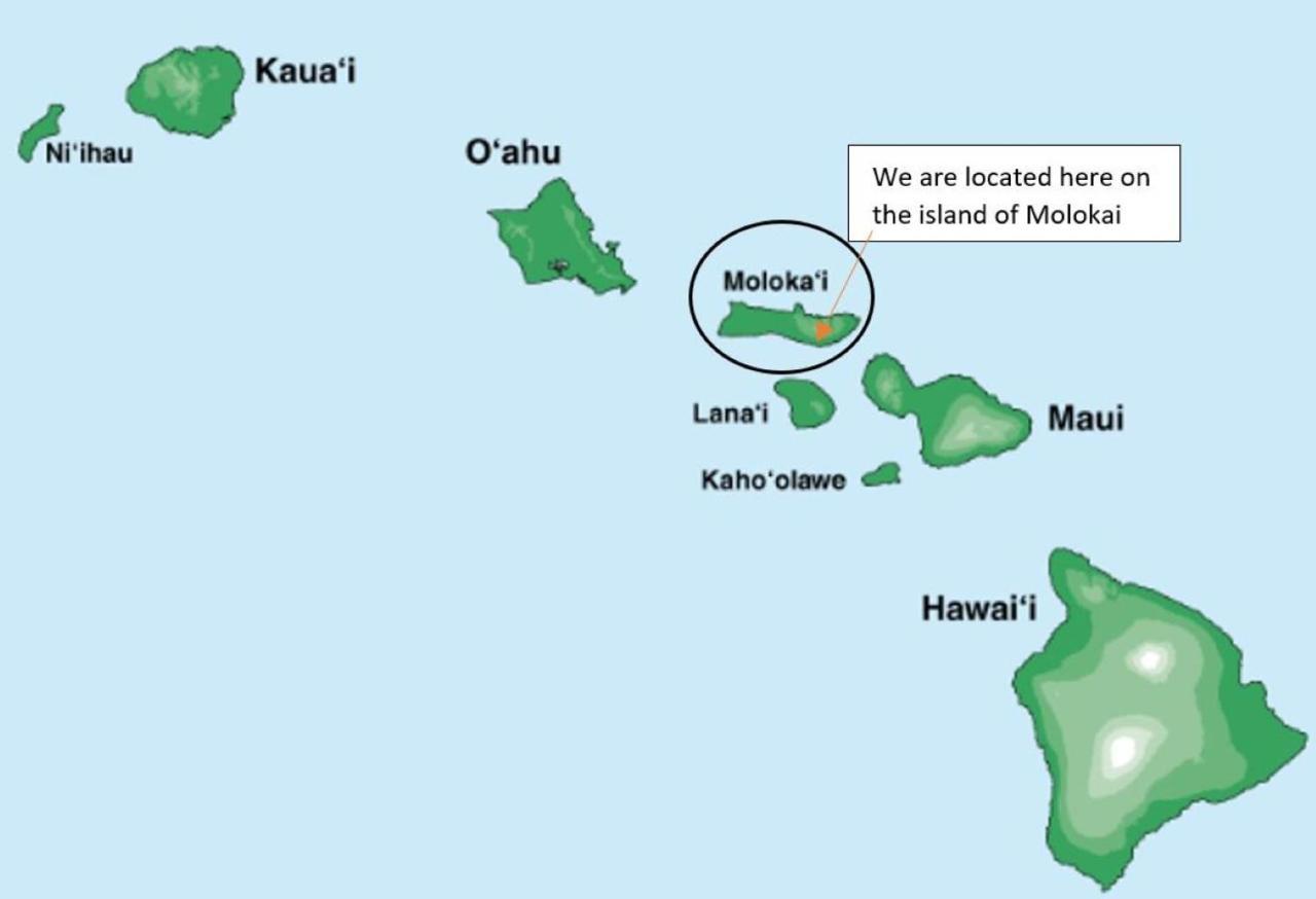 Molokai Island Retreat With Beautiful Ocean Views And Pool - Newly Remodeled! Apartment Ualapue Bagian luar foto